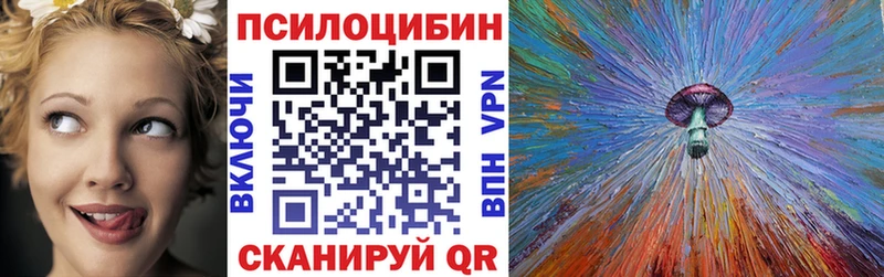 Псилоцибиновые грибы GOLDEN TEACHER  магазин  наркотиков  Дыгулыбгей 