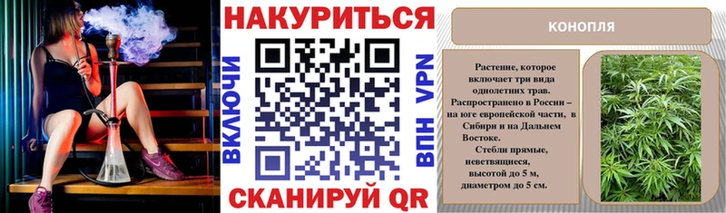 Марихуана сатива  Дыгулыбгей 